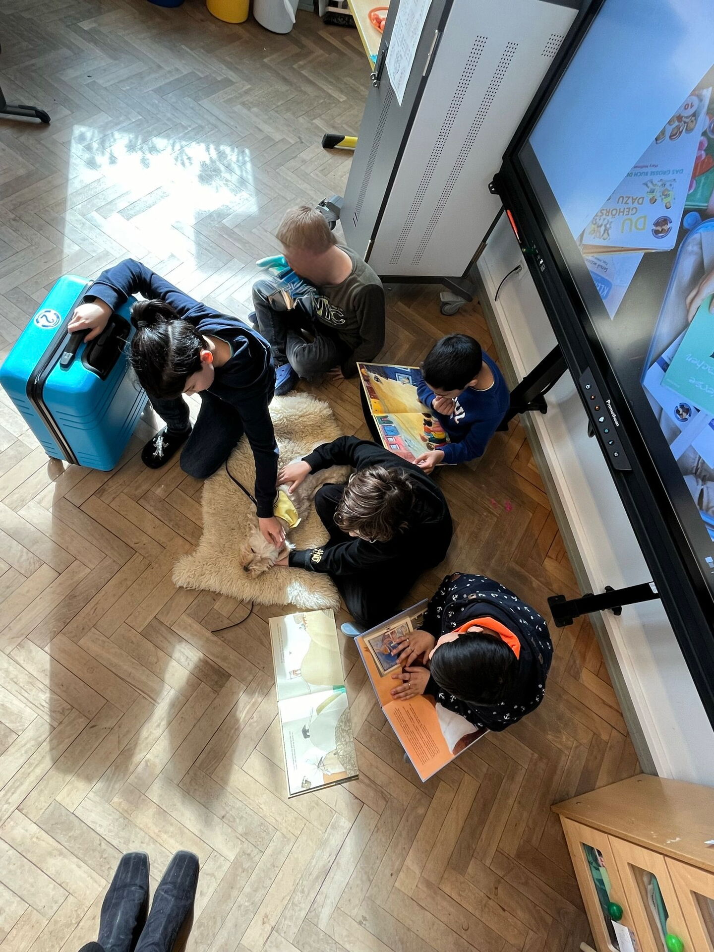 Schüler lesen der Schulhündin vor