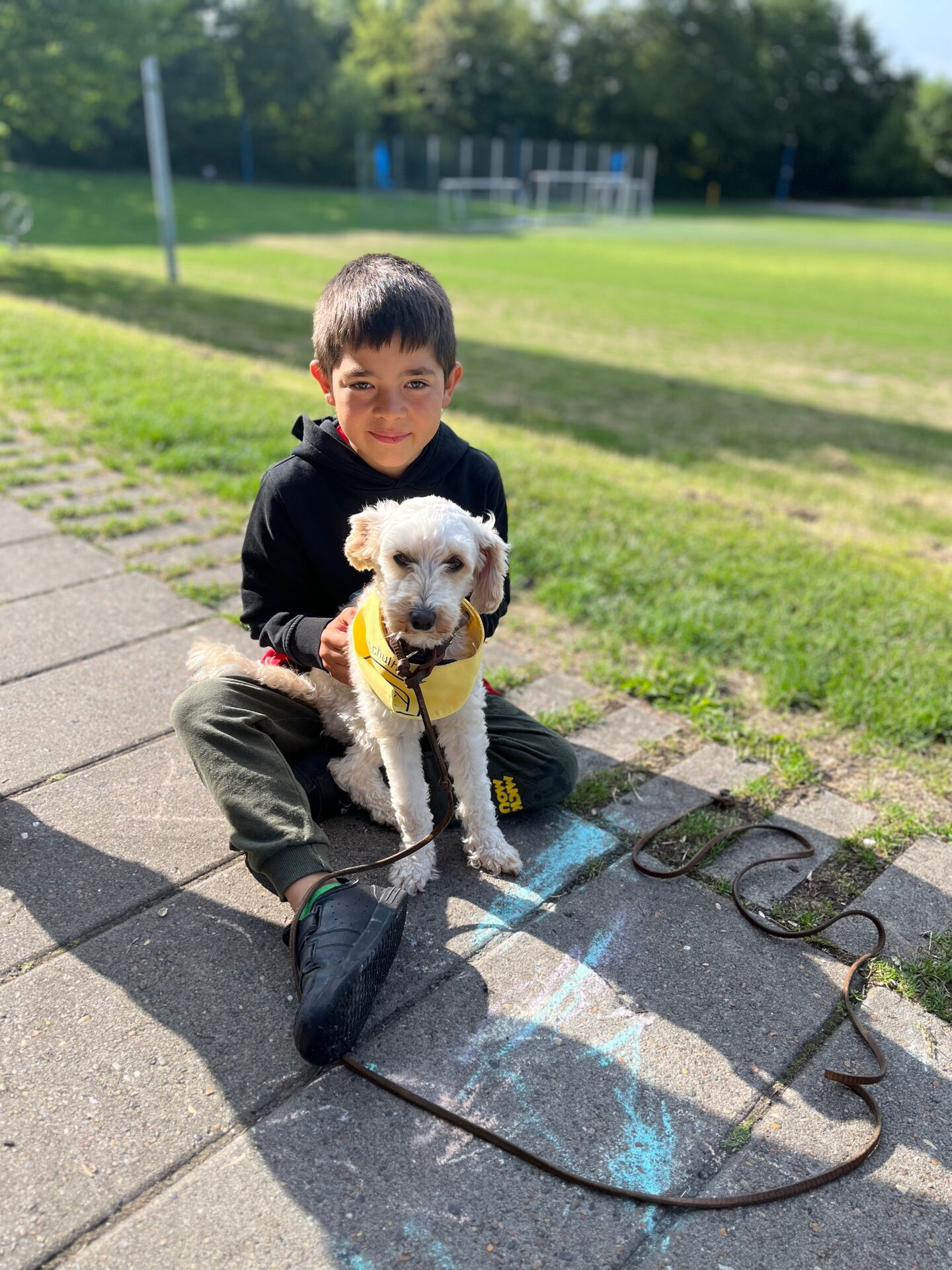 Schulhund Miss Marple mit einem Schüler