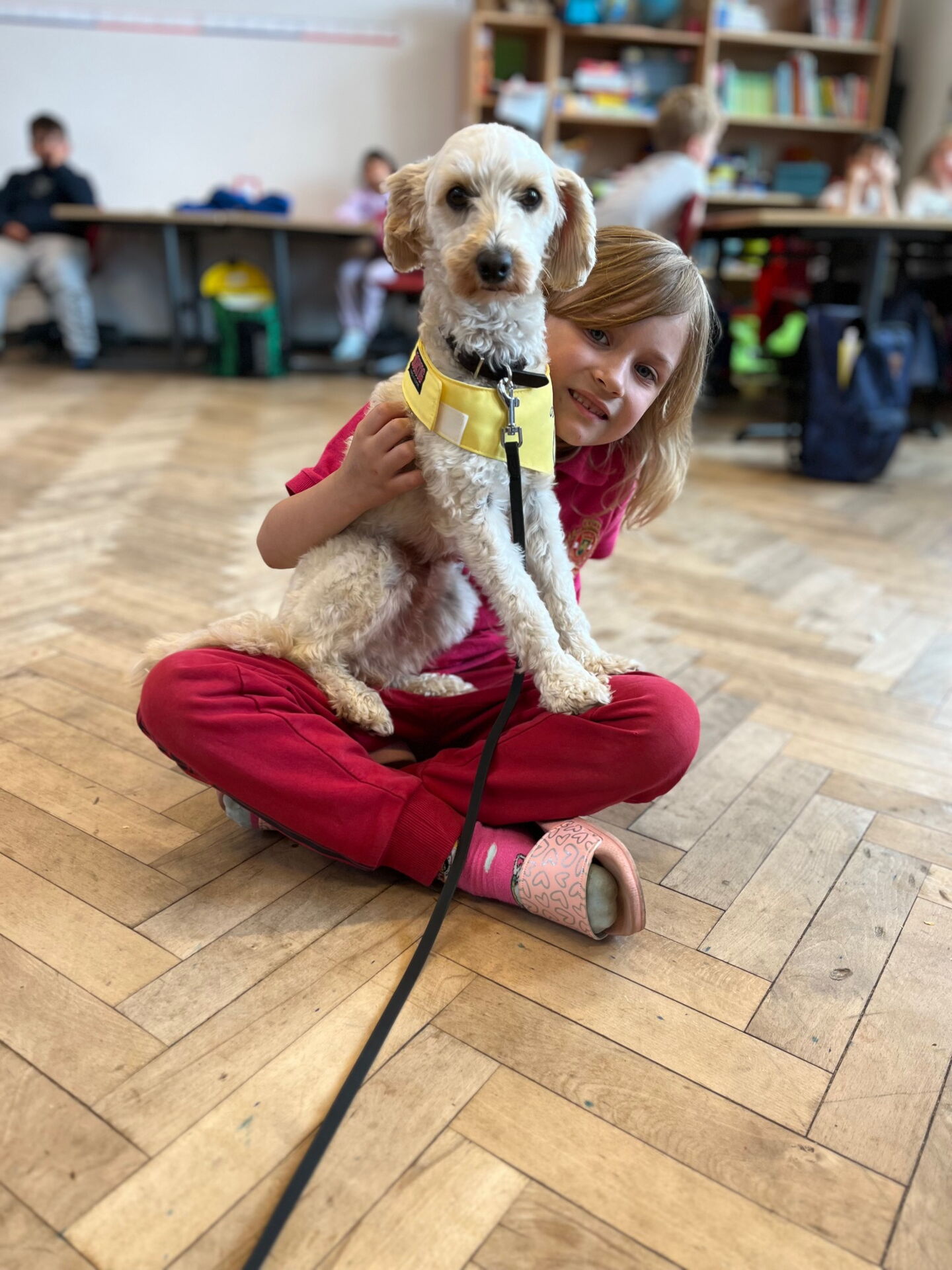 Schulhund Miss Marple sitzt auf dem Schoß von einer Schülerin